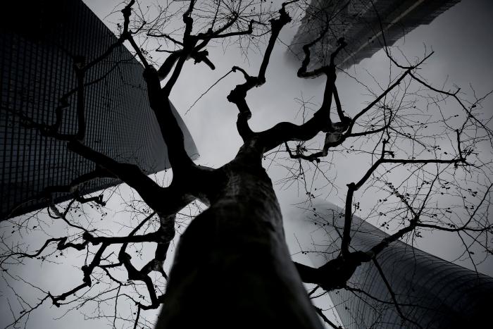 Las fotos de la década, según Reuters