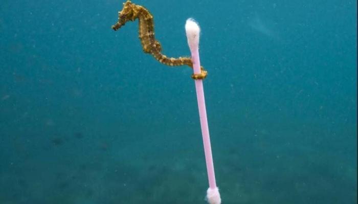 Javier Peña, HOPE!: "Seas de derechas o de izquierdas necesitas comer y tener un clima estable"