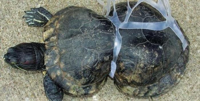 Javier Peña, HOPE!: "Seas de derechas o de izquierdas necesitas comer y tener un clima estable"