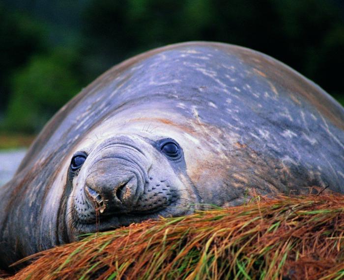 19 razones para viajar al fin del mundo