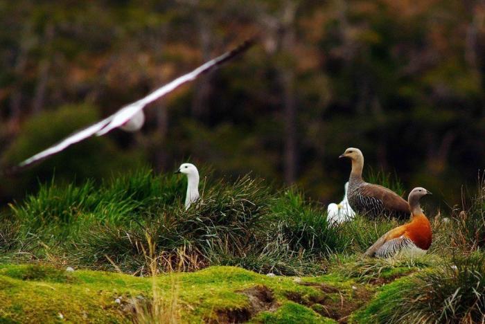 19 razones para viajar al fin del mundo