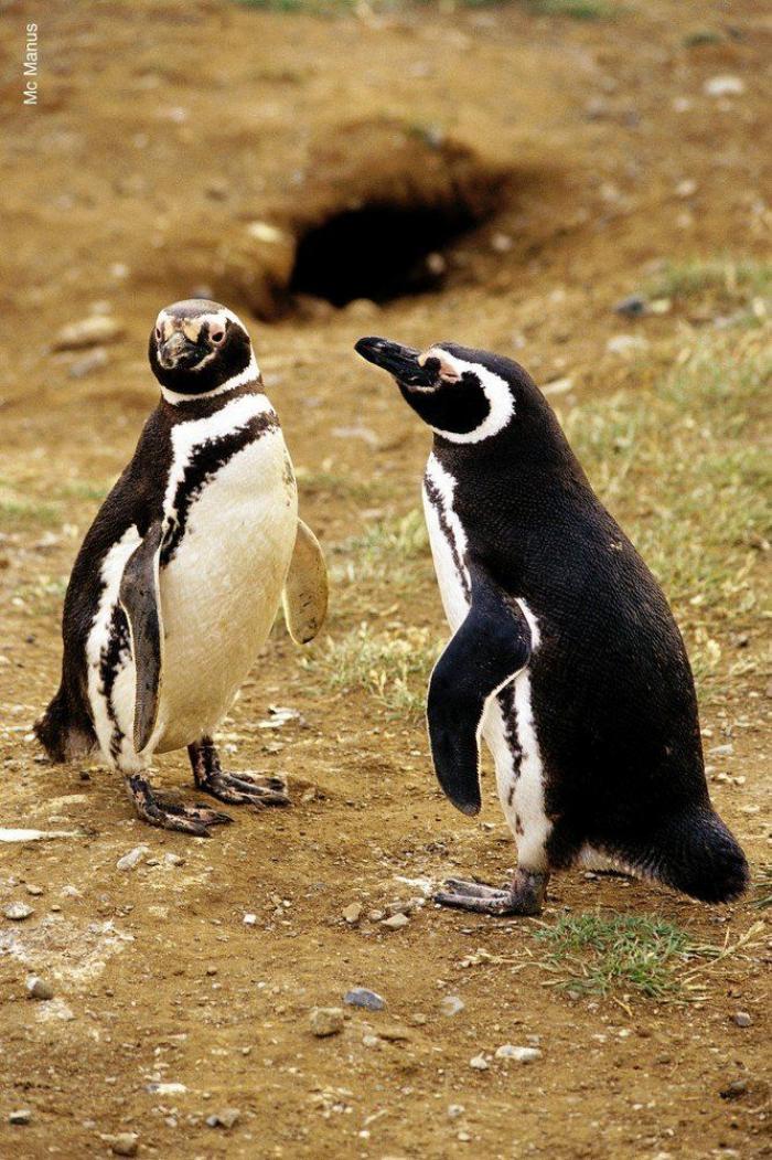 19 razones para viajar al fin del mundo