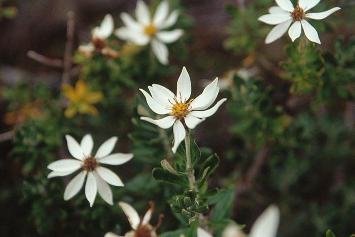 19 razones para viajar al fin del mundo