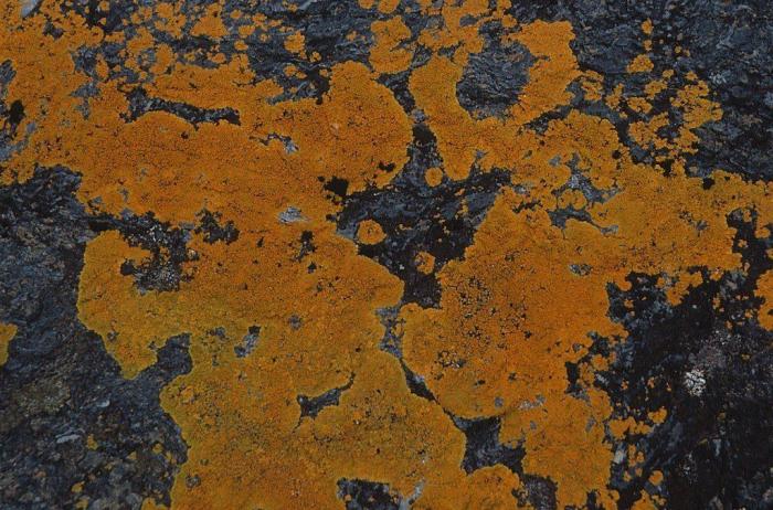 19 razones para viajar al fin del mundo