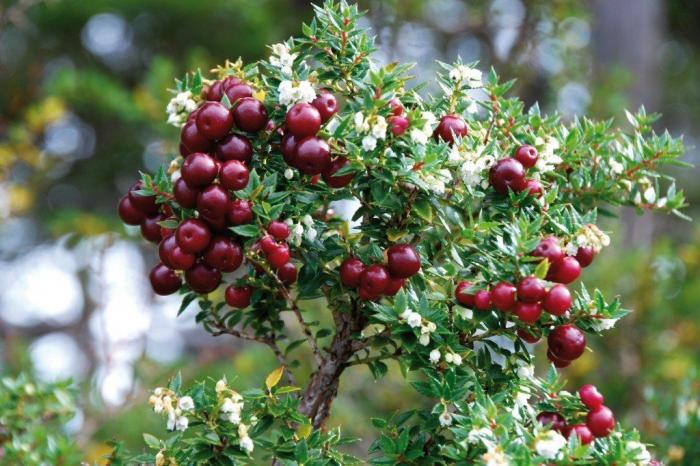 19 razones para viajar al fin del mundo