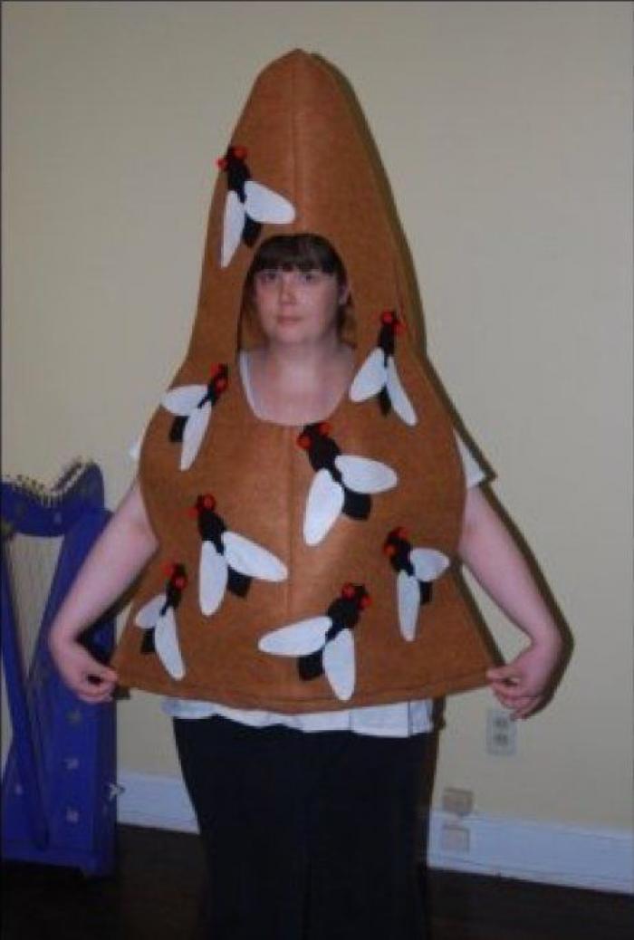 Ocho razones para NO ir a Cádiz en carnaval