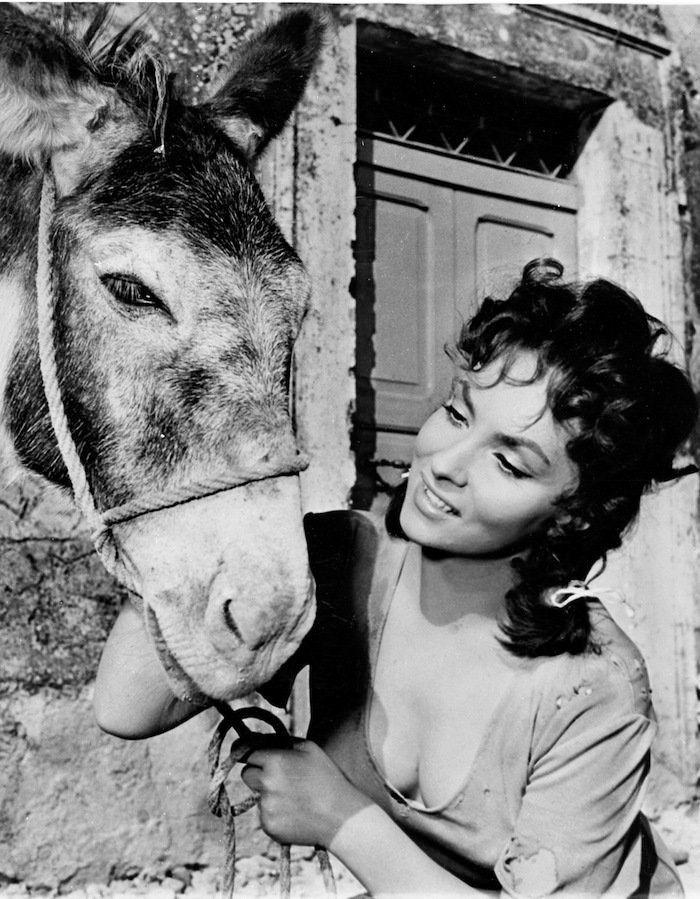 Los bichinos de la semana: animales con famosos (FOTOS)