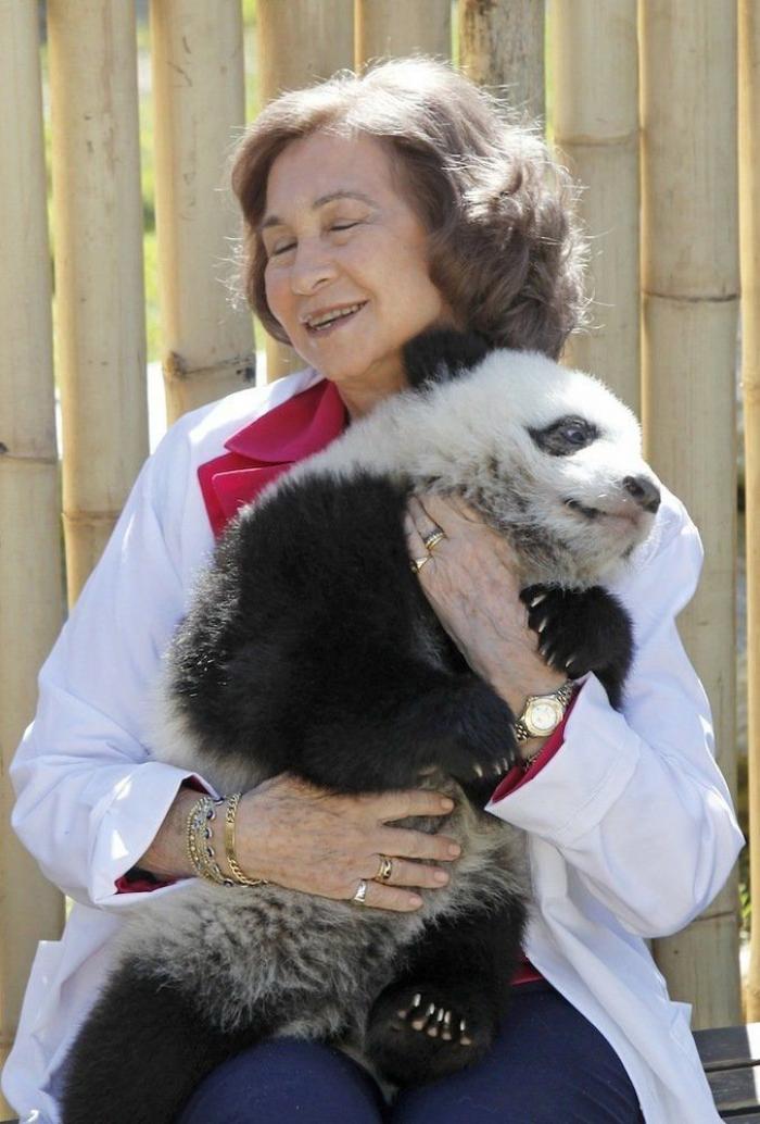 Los bichinos de la semana: animales con famosos (FOTOS)