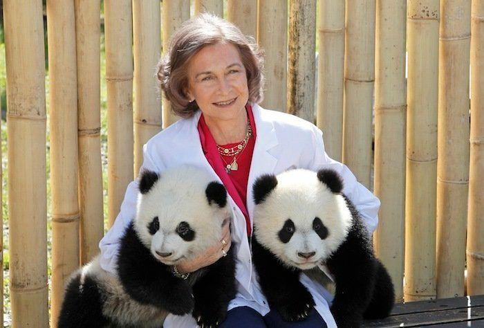 Los bichinos de la semana: animales con famosos (FOTOS)