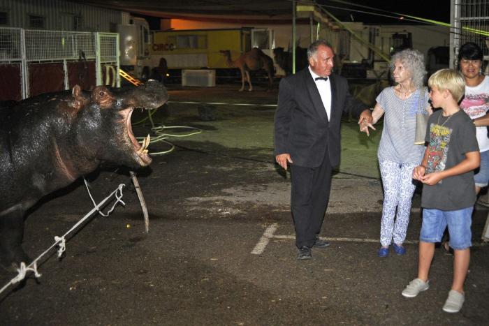 Los bichinos de la semana: animales con famosos (FOTOS)