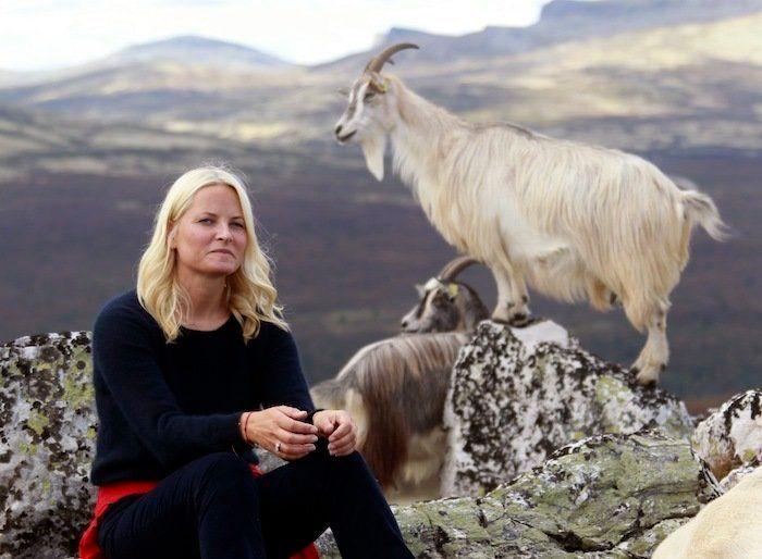 Los bichinos de la semana: animales con famosos (FOTOS)