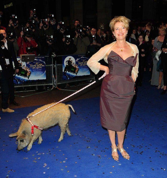Los bichinos de la semana: animales con famosos (FOTOS)