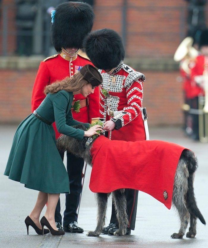 Los bichinos de la semana: animales con famosos (FOTOS)