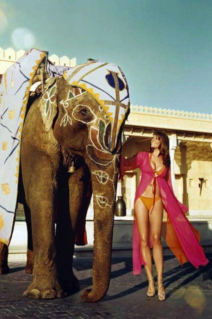 Los bichinos de la semana: animales con famosos (FOTOS)