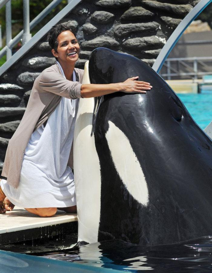 Los bichinos de la semana: animales con famosos (FOTOS)