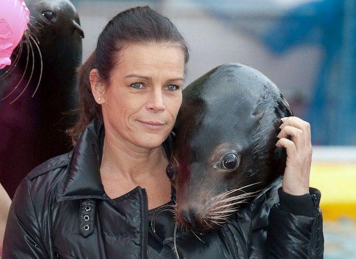 Los bichinos de la semana: animales con famosos (FOTOS)