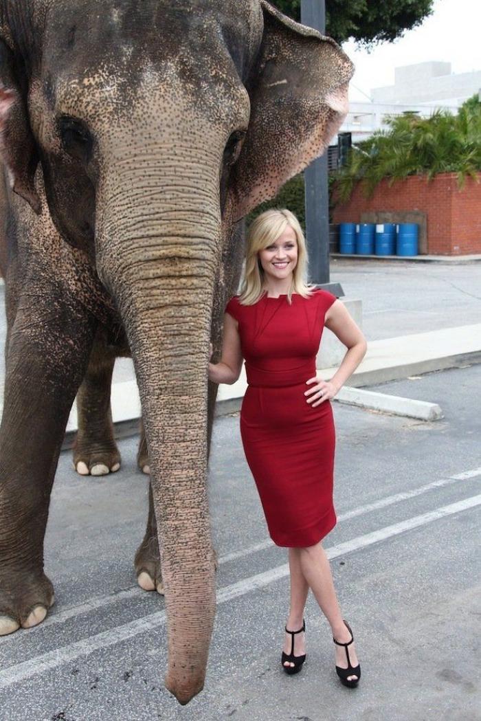Los bichinos de la semana: animales con famosos (FOTOS)