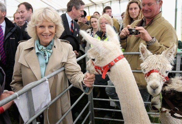 Los bichinos de la semana: animales con famosos (FOTOS)