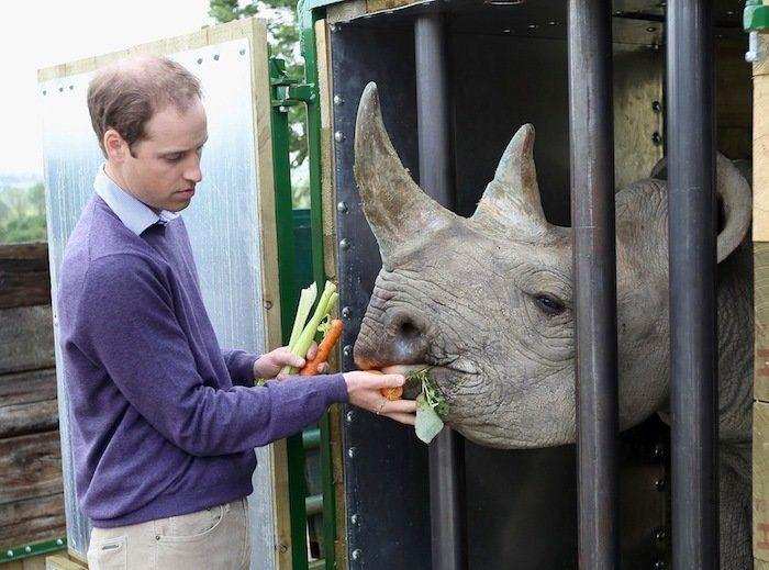 Los bichinos de la semana: animales con famosos (FOTOS)
