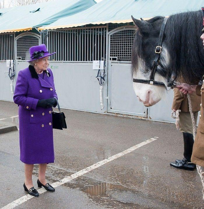 Los bichinos de la semana: animales con famosos (FOTOS)