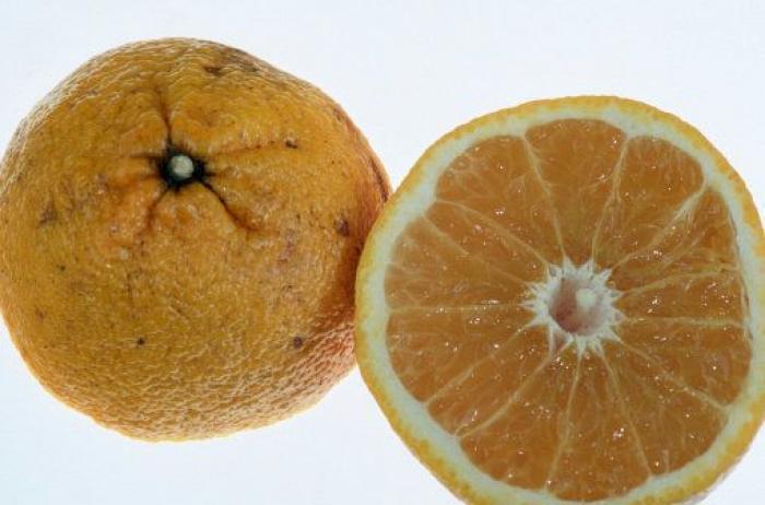 Los datos que explican el desperdicio de alimentos en España