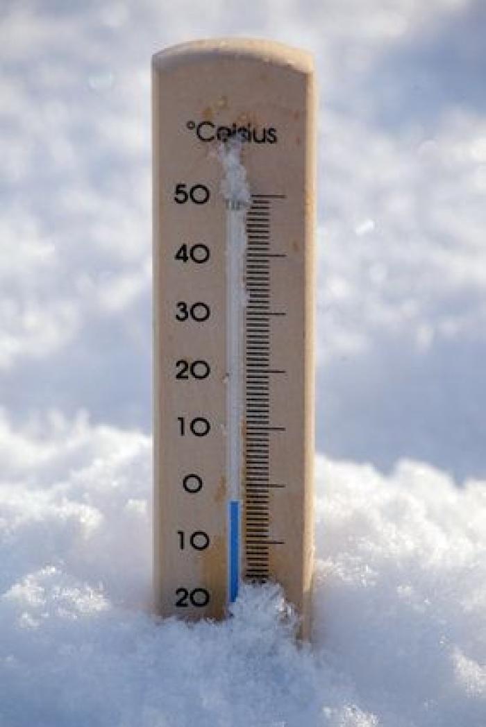 Los datos que explican el desperdicio de alimentos en España