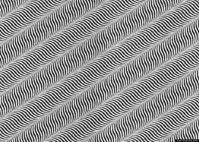 ¿En qué sentido avanza el autobús?, el rompecabezas que vuelve a ser viral