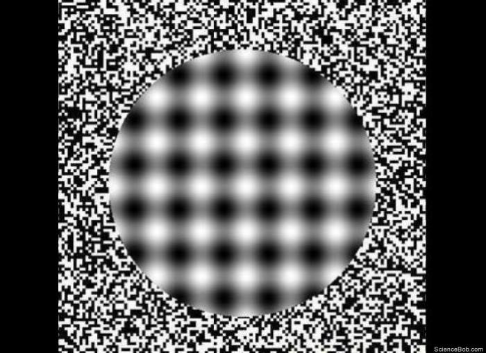 ¿En qué sentido avanza el autobús?, el rompecabezas que vuelve a ser viral