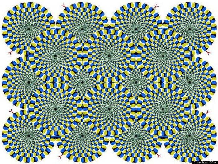 ¿En qué sentido avanza el autobús?, el rompecabezas que vuelve a ser viral