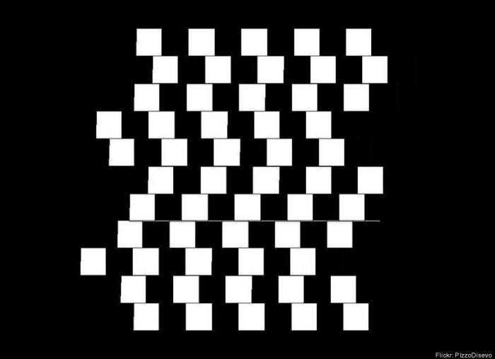 ¿En qué sentido avanza el autobús?, el rompecabezas que vuelve a ser viral