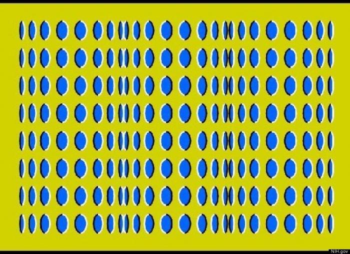 ¿En qué sentido avanza el autobús?, el rompecabezas que vuelve a ser viral