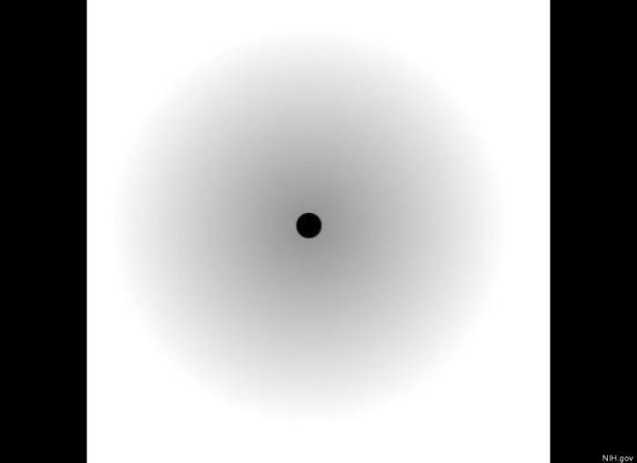 ¿En qué sentido avanza el autobús?, el rompecabezas que vuelve a ser viral