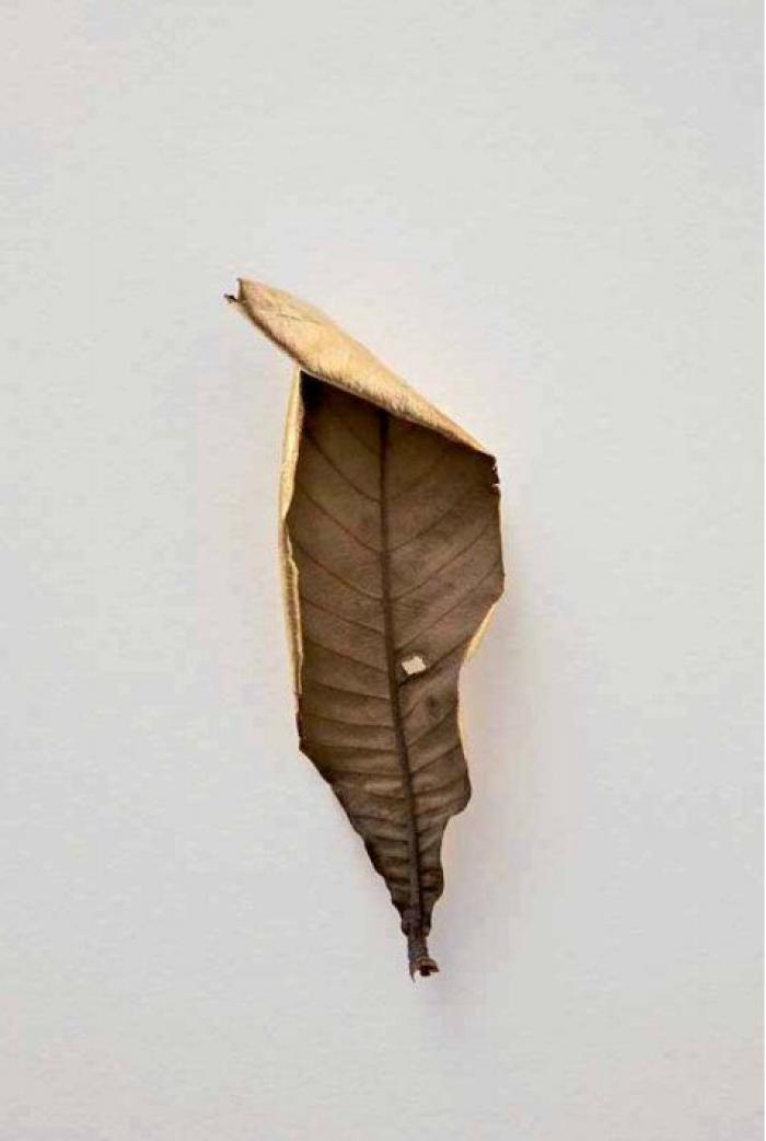 ARCO 2013: 17 extrañas obras de arte que se verán en la feria (FOTOS)