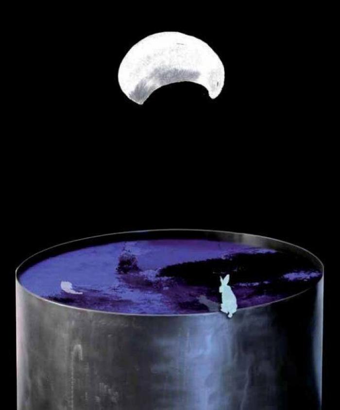 ARCO 2013: 17 extrañas obras de arte que se verán en la feria (FOTOS)