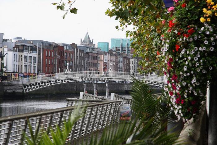 El ex diputado del PP madrileño Alfonso Bosch confiesa que cobró de la Gürtel