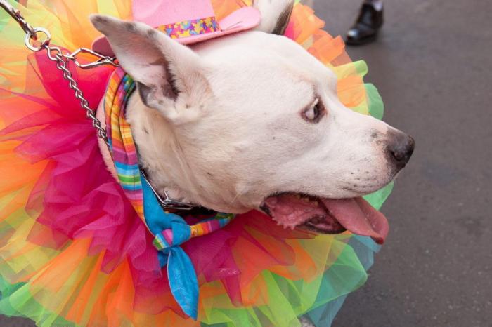 Mayores LGTB y pandemia: cuando la soledad y el aislamiento caen sobre un colectivo vulnerable