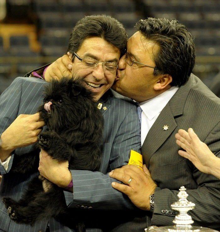 29 cosas que pasan en los concursos de belleza canina (FOTOS)