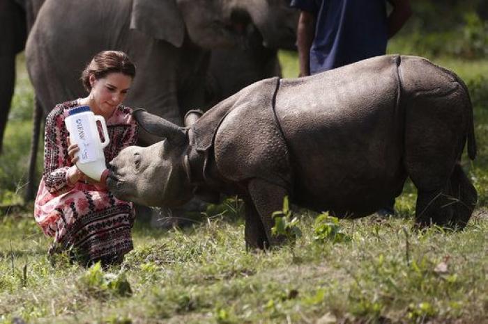 Esta foto es peculiar: solo se había visto algo así dos veces antes