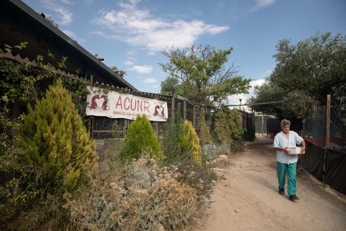 Todo lo que debes saber antes de adoptar un animal