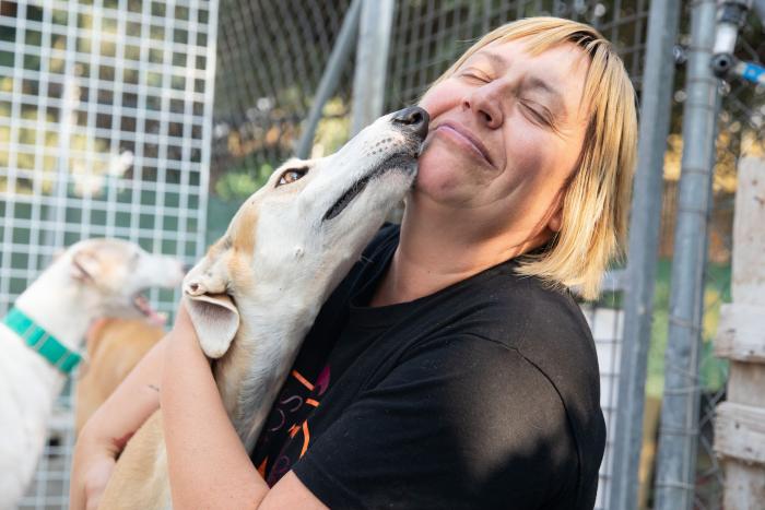 Todo lo que debes saber antes de adoptar un animal