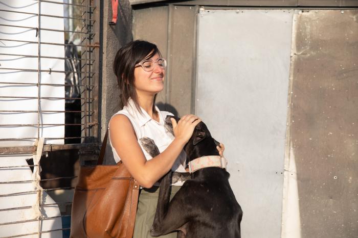 Todo lo que debes saber antes de adoptar un animal