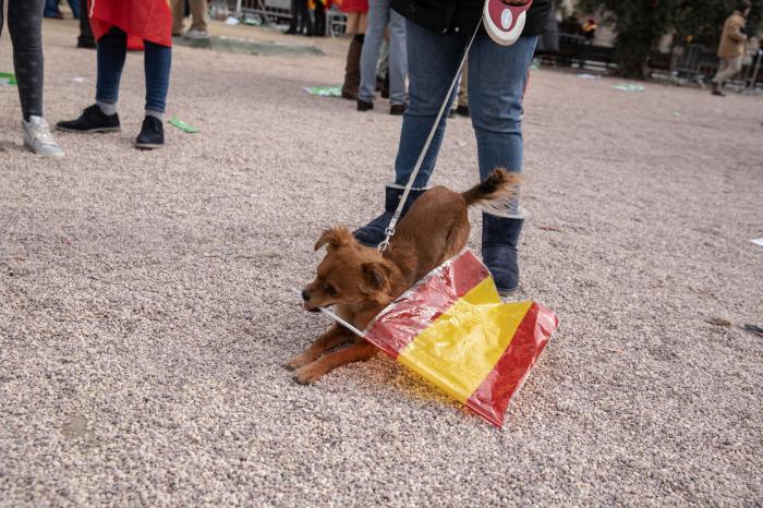 Pregunta a Manuel Valls: "¿Se siente cómodo al lado de Abascal y Vox?"