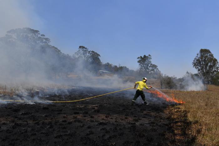 Más de 150 incendios forestales continúan activos en el este de Australia y se acercan a Sidney