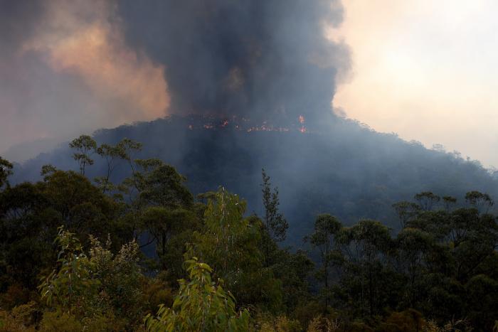 Más de 150 incendios forestales continúan activos en el este de Australia y se acercan a Sidney