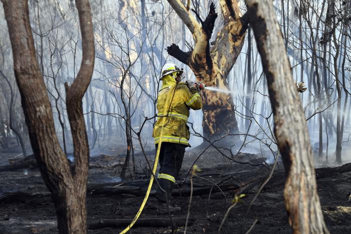 Más de 150 incendios forestales continúan activos en el este de Australia y se acercan a Sidney
