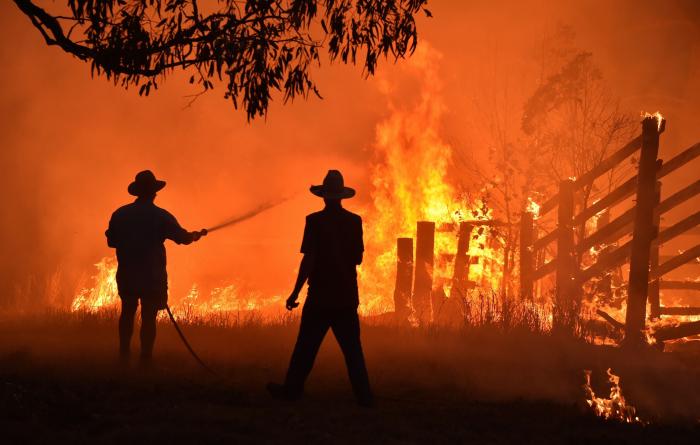 Más de 150 incendios forestales continúan activos en el este de Australia y se acercan a Sidney