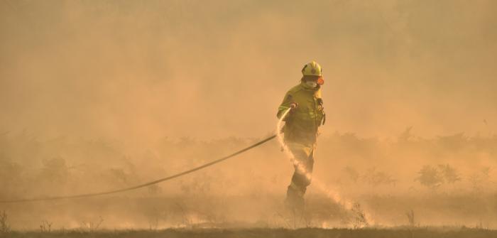 Más de 150 incendios forestales continúan activos en el este de Australia y se acercan a Sidney