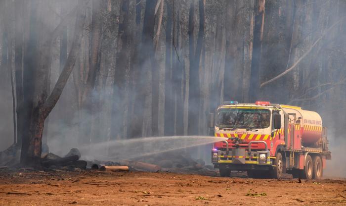 Más de 150 incendios forestales continúan activos en el este de Australia y se acercan a Sidney