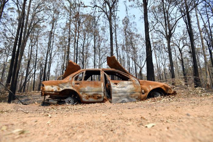 Más de 150 incendios forestales continúan activos en el este de Australia y se acercan a Sidney