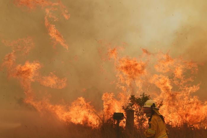 Más de 150 incendios forestales continúan activos en el este de Australia y se acercan a Sidney